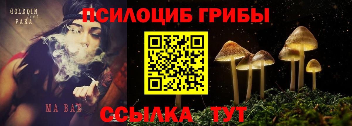 Псилоцибиновые грибы мухоморы  Псилоцибиновые грибы ЛСД  Нижний Тагил  закладки  Вход с VPN 